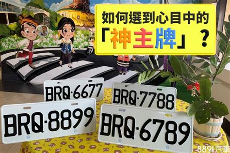 選車牌數字